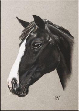 Painting Tatjana Schneider Horse